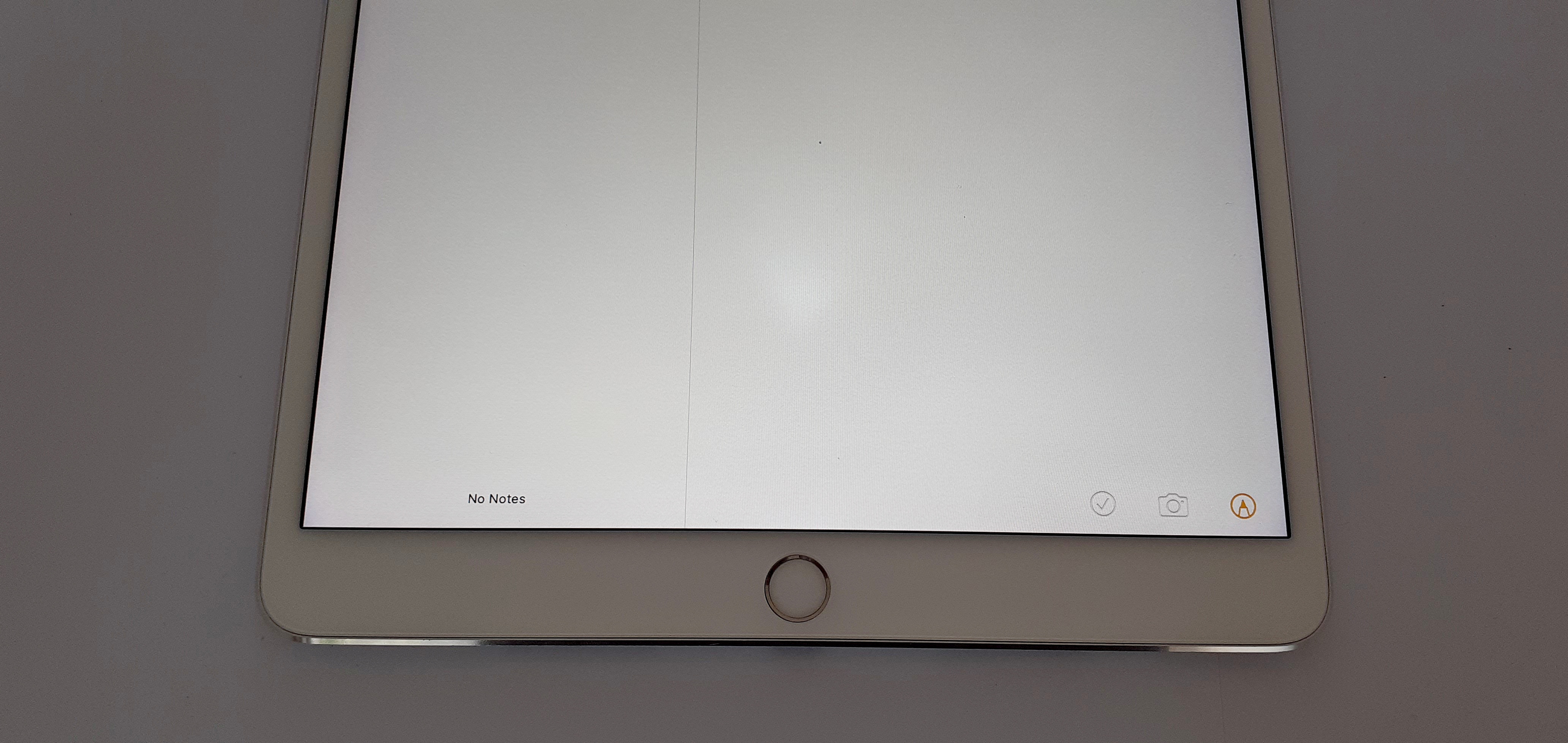 iPad Pro 10.5″ Silver 256GB Wifi + 3G – Minor Bright Spot (6 Month