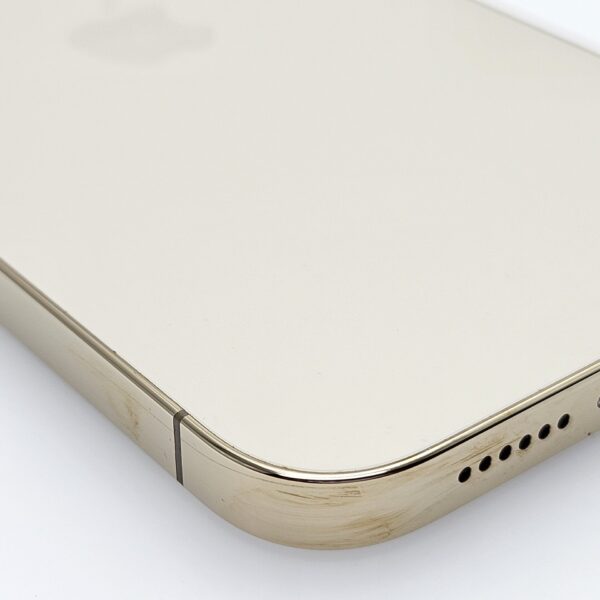 iPhone 13 Pro Max 128GB Gold (12 Month Warranty) + Screen Protector and Cover Value: R400 - Image 9