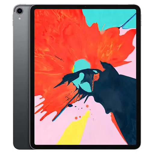 iPad Pro 12.9' 3rd Gen 256GB (Wifi/Cellular) Space Grey (3 Month