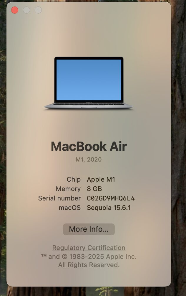 Apple MacBook Air "M1" 8 CPU/ 8 GPU 13-Inch (2020) 8GB RAM 256GB SSD Silver (12 Month Warranty) - Image 11