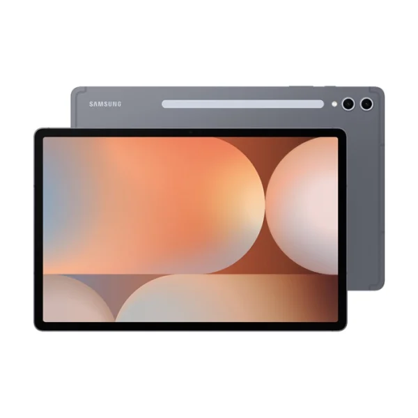 Samsung Galaxy Tab S10 Plus 256GB Moonstone Gray (Grade B) +
