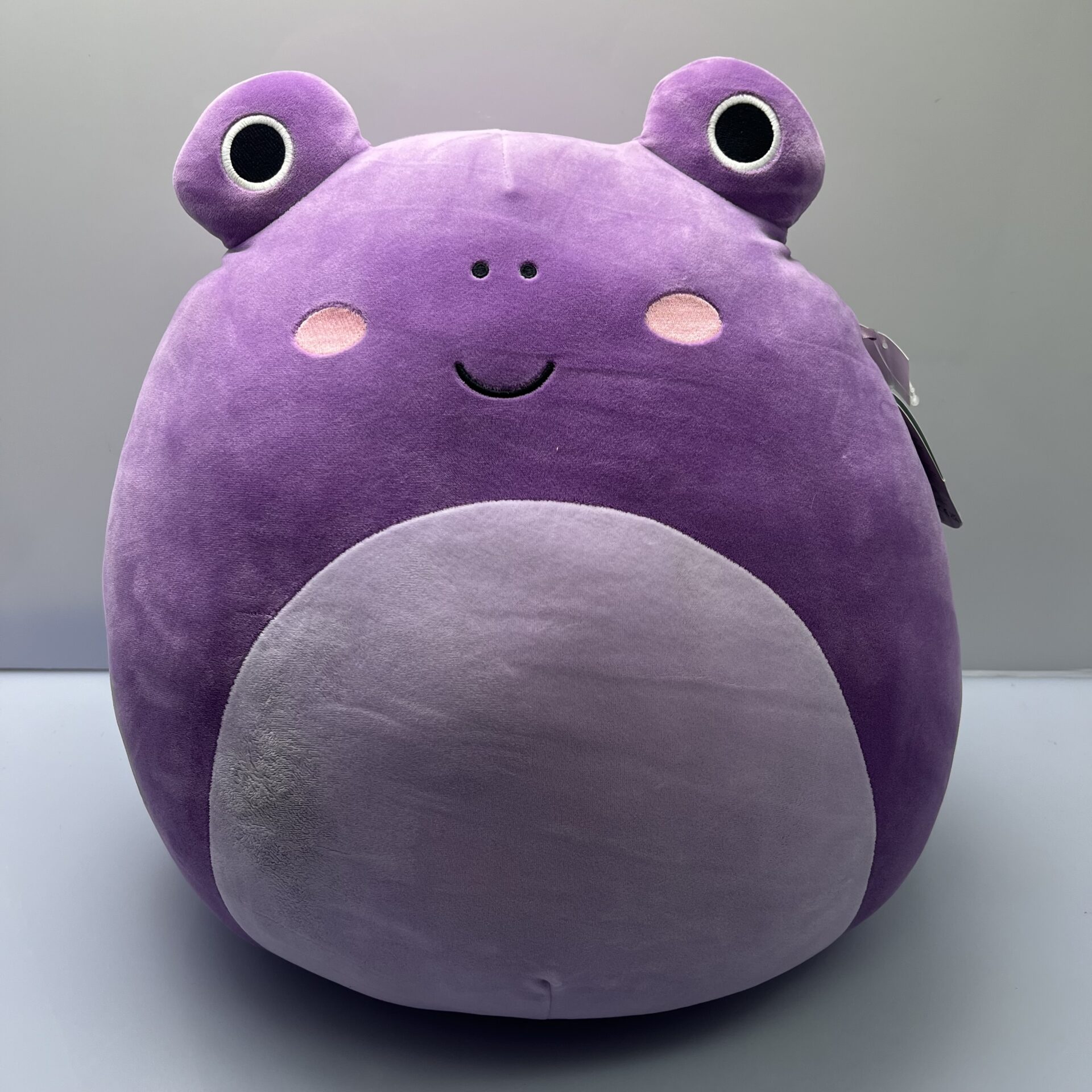 COMBO DEAL: Squishmallow Large Plush 16-inch Hufflepuff Badger, Ravenclaw Raven and Philomena Purple Toad Combo (Condition: Good) - Image 6